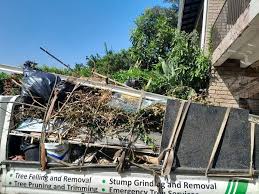 Best Residential Junk Removal  in San Elizario, TX