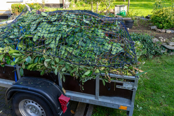 Best Yard Waste Removal  in San Elizario, TX